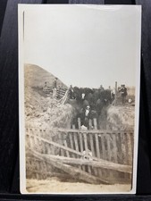 Franklin indiana cattle for sale  Sapulpa