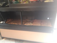 Snake vivarium w5ft for sale  NOTTINGHAM
