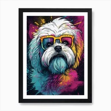Shih tzu with d'occasion  Expédié en Belgium