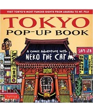 Tokyo pop book gebraucht kaufen  Trebbin
