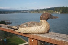 Pintail drake decoy for sale  Lincoln City