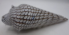 Belle sculpture coquillage d'occasion  Cagnes-sur-Mer