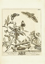 1840 moses harris for sale  WORCESTER