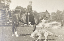 1920s woman horseback for sale  New Hartford