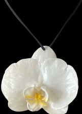 Real orchid flower for sale  NUNEATON