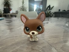 Petshop chien corgi d'occasion  La Garde