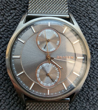 Skagen holst skw6180 for sale  NEWTON ABBOT