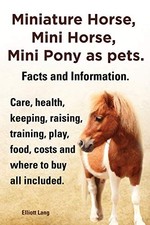 Miniature horse mini for sale  USA