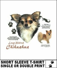 Long hair chihuahua for sale  Cape Coral