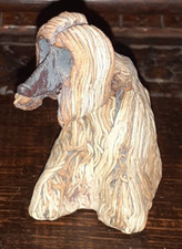 Afghan hound dog for sale  MELTON MOWBRAY