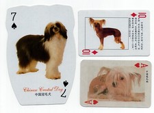 Chinese crested collection for sale  COLEFORD