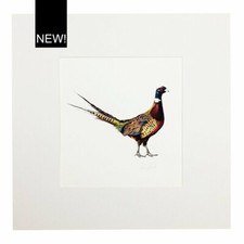 Pheasant art print. for sale  YARM
