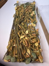 Dried flower seed for sale  Colorado Springs