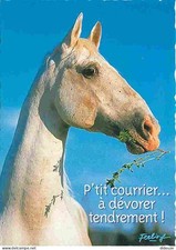 Animals horses horse d'occasion  Expédié en Belgium