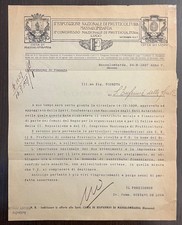 Piego lettera massalombarda usato  Milano
