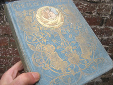 1912 rose fairy for sale  CARLISLE