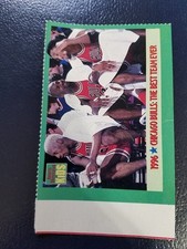 Michael jordan dennis usato  Spedire a Italy