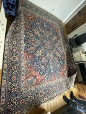 Extra large persian for sale  LEEDS