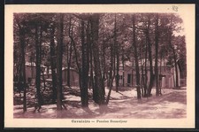 Old postcard cavalaire d'occasion  Expédié en Belgium