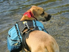 ruffwear dog pack for sale ruffwear dog pack for sale Arizona City