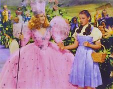 Wizard pink fairy for sale  USA
