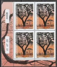 2025 trees vachellia d'occasion 2025 trees vachellia d'occasion  Lille-