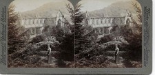 Ruins tintern abbey for sale  SHERINGHAM