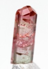 Watermelon tourmaline bicolor for sale  Tucson