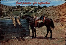 Cowboy horse water for sale  Sandusky