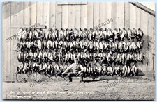 Postcard rppc willows for sale  Riverside