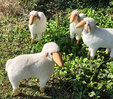 Deko schaf lamm gebraucht kaufen  Essen