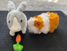 Animagic guinea pig for sale  ST. IVES