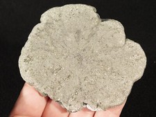 pyrite sun for sale pyrite sun for sale Salt Lake City