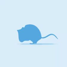 Frozen large mice for sale  LEICESTER