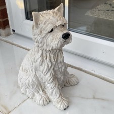 White heavy dog for sale  SUTTON COLDFIELD