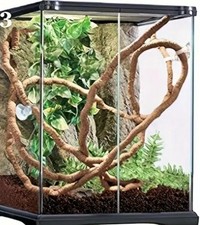 Feuilles lianes terrarium d'occasion  Verneuil-sur-Seine