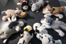 Nici tier magnete gebraucht kaufen  Aachen
