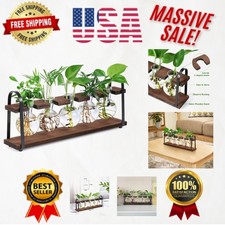 glass vases indoor plants for sale glass vases indoor plants for sale USA