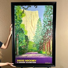 David hockney yosemite for sale  Dublin