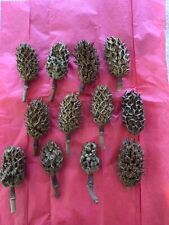 dried flowers wreaths for sale dried flowers wreaths for sale Wilkes Barre