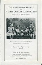 Welsh cardigan corgi for sale Welsh cardigan corgi for sale  COLEFORD