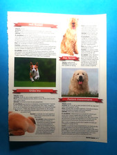 Clipping giornale jack usato  Italia