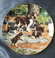 Hamilton collection plate for sale  LOUTH