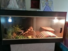Glass vivarium used for sale  KILMARNOCK