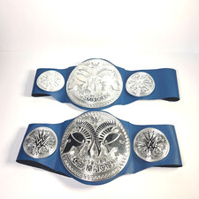 Wwe smackdown tag for sale  DEAL