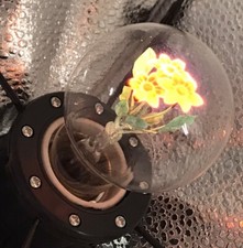 Aerolux flower light for sale  Trenton
