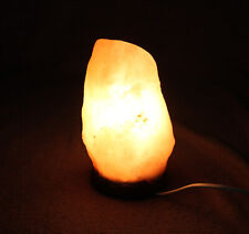 Salzlampe lampe salz gebraucht kaufen  Schöningen