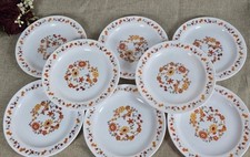 Petites assiettes arcopal d'occasion  Villers-Bocage
