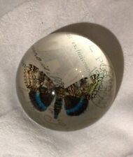 Butterfly paper weight for sale  SWINDON