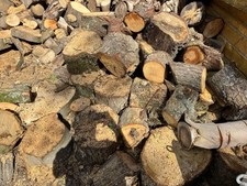 Timber rounds logs for sale  EDENBRIDGE